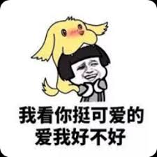 web bandar togel terpercaya Li Su merasa bahwa kepribadian Li Zhi agak mirip dengan dirinya.
